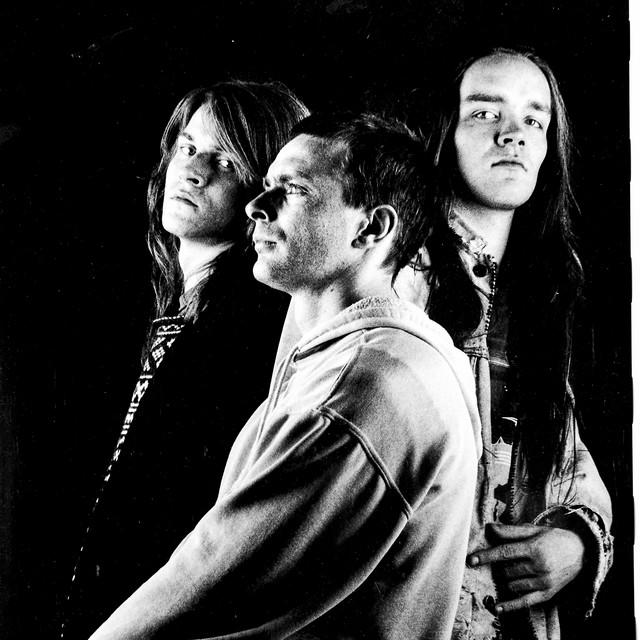 Cadaver
