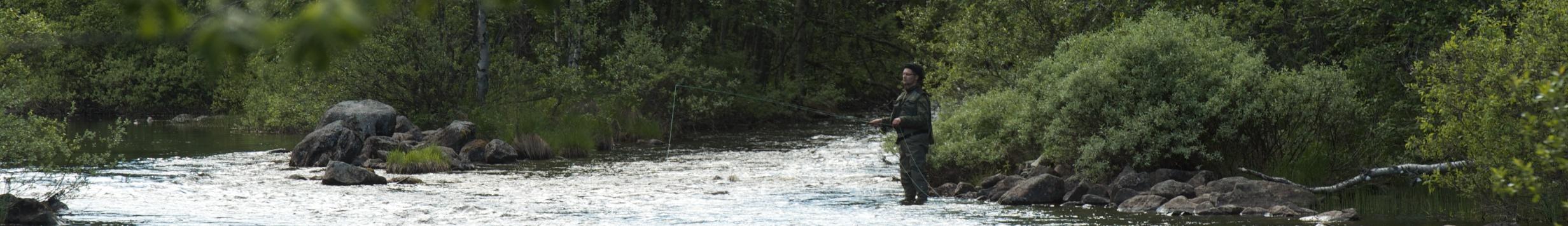 Banner image for Kuusamo on GigsGuide