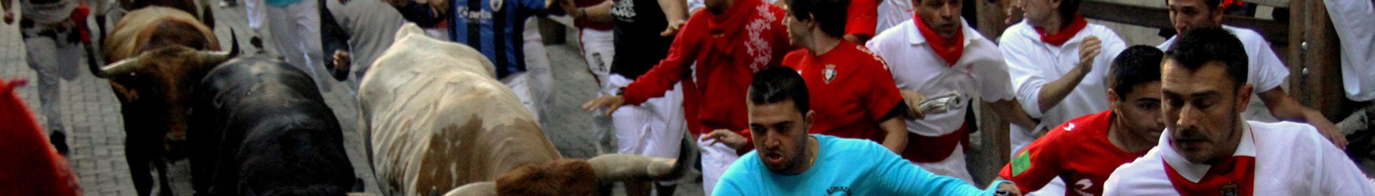 Banner image for Pamplona on GigsGuide