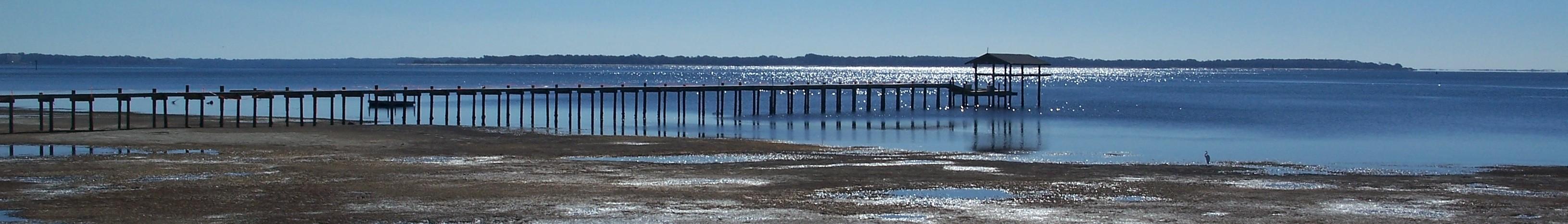 Banner image for Panama City on GigsGuide