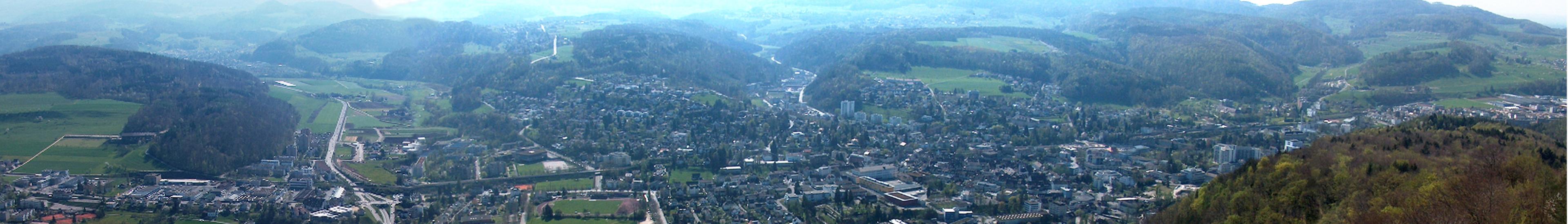 Banner image for Liestal on GigsGuide