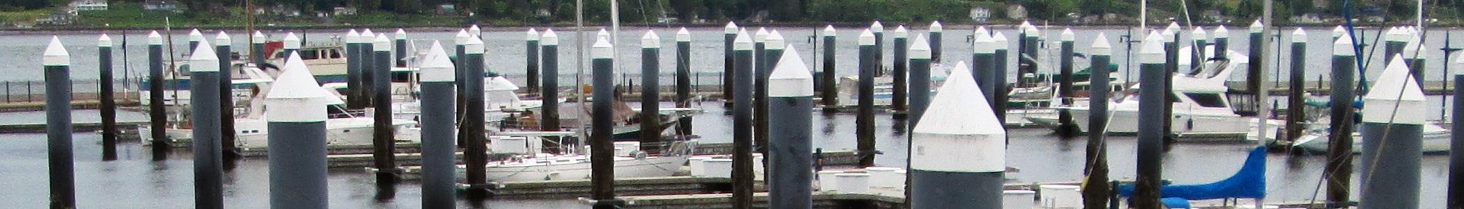 Banner image for Bremerton on GigsGuide