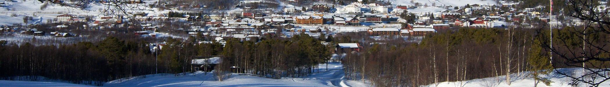 Banner image for Geilo on GigsGuide