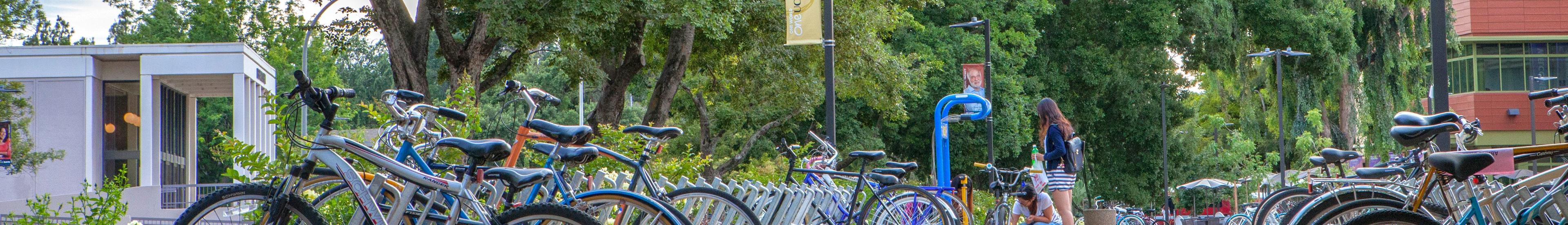 Banner image for Davis on GigsGuide