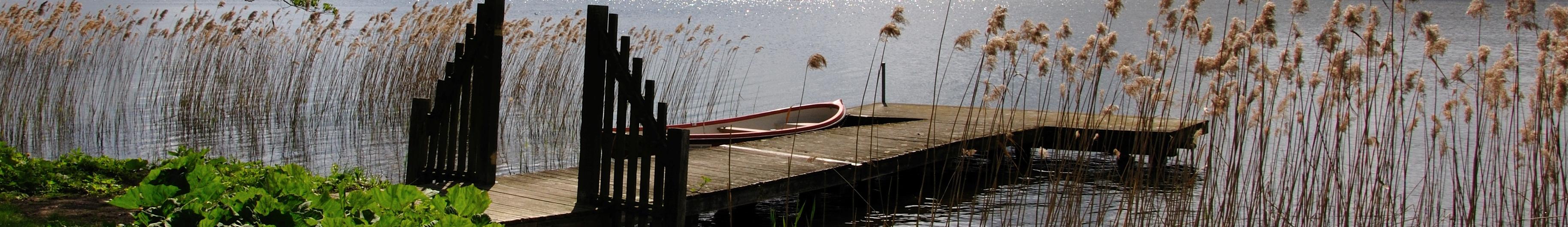 Banner image for Sorø on GigsGuide