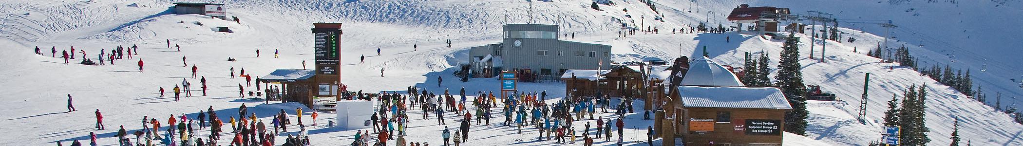 Banner image for Whistler on GigsGuide