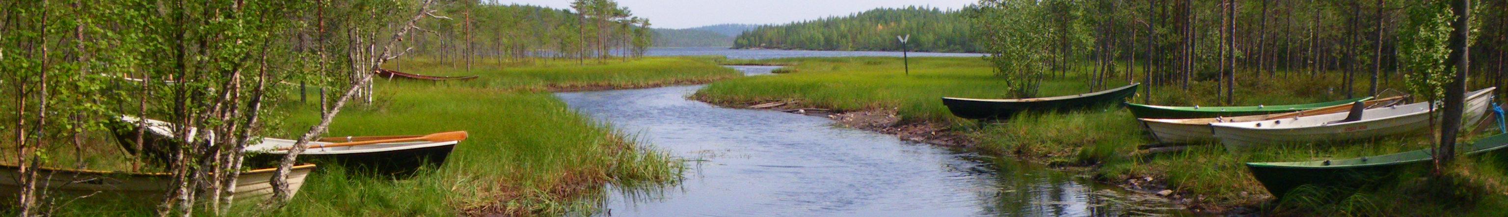 Banner image for Lieksa on GigsGuide