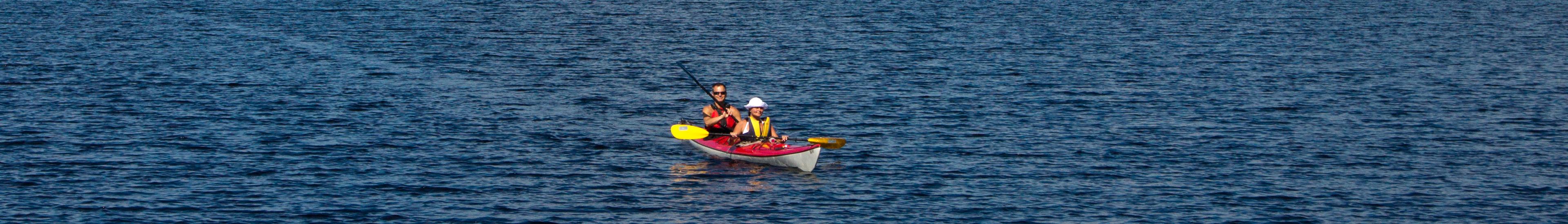 Banner image for Kuhmo on GigsGuide
