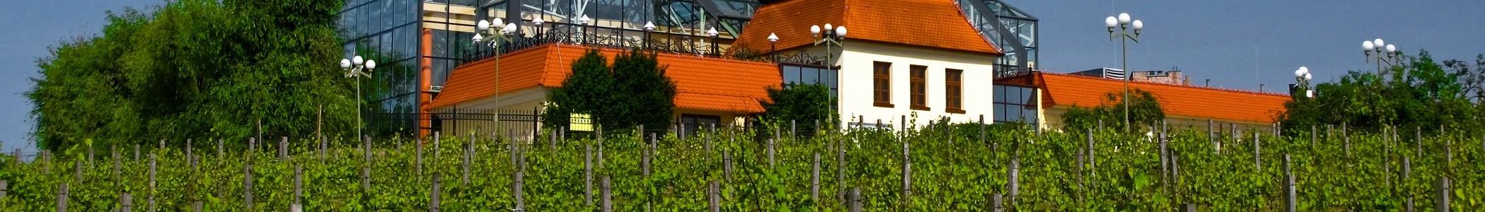 Banner image for Zielona Góra on GigsGuide
