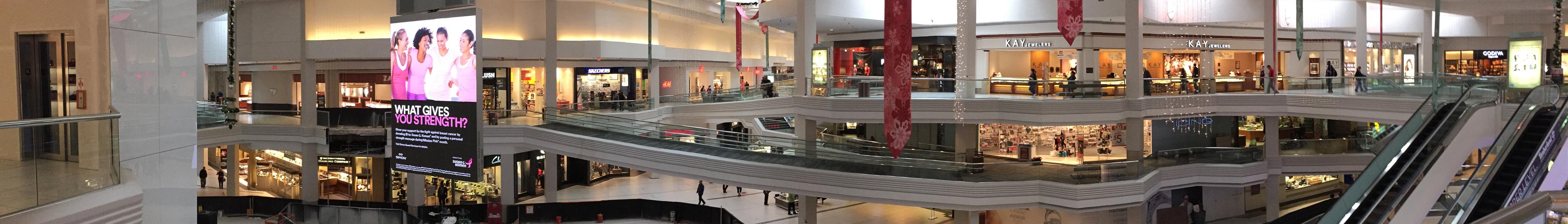 Banner image for Schaumburg on GigsGuide