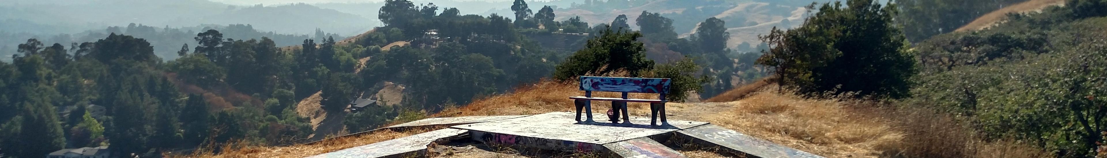 Banner image for Walnut Creek on GigsGuide