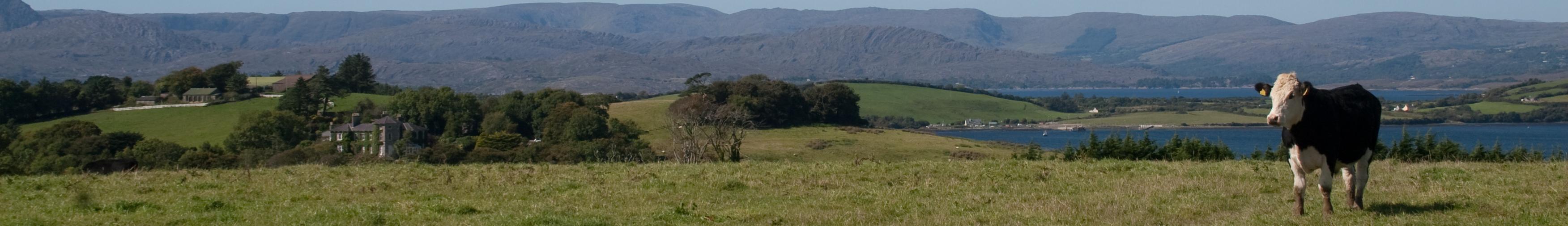 Banner image for Bantry on GigsGuide