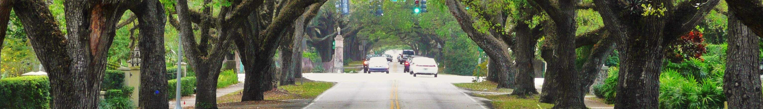 Banner image for Coral Gables on GigsGuide