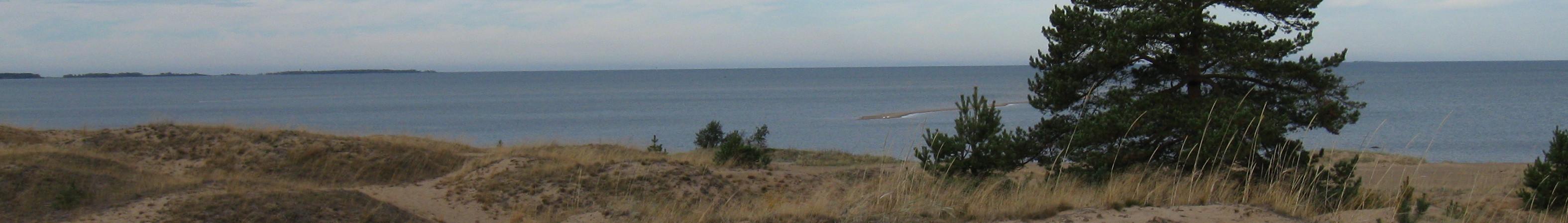 Banner image for Kalajoki on GigsGuide