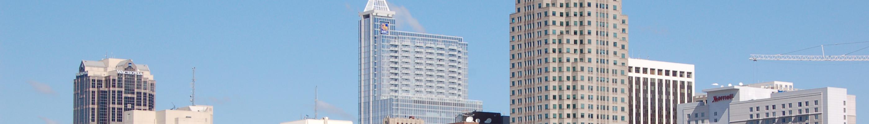 Banner image for Raleigh on GigsGuide