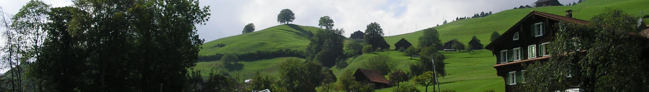 Banner image for Sarnen on GigsGuide