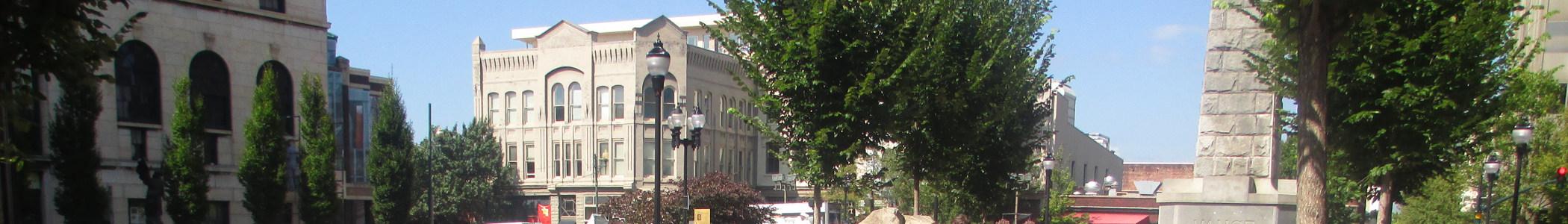 Banner image for Asheville on GigsGuide
