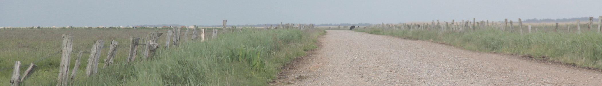 Banner image for Ringkøbing on GigsGuide