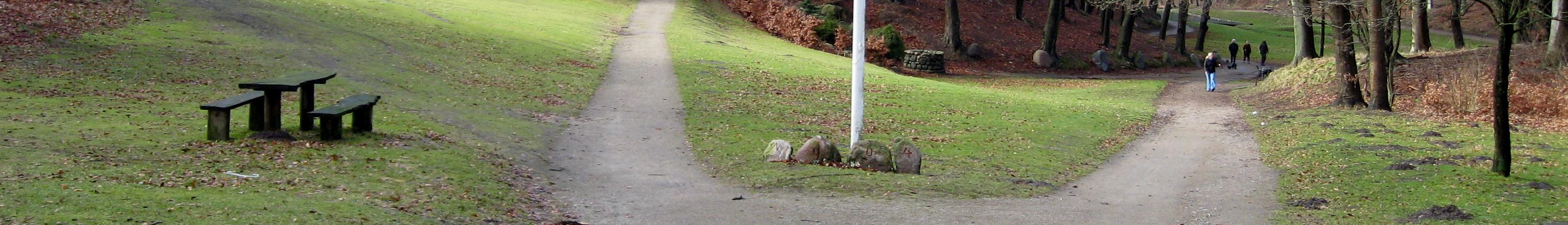 Banner image for Hjørring on GigsGuide