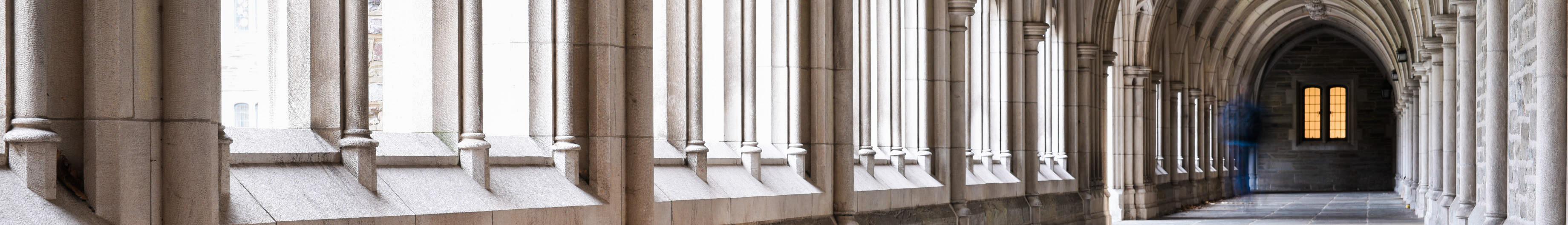 Banner image for Princeton on GigsGuide