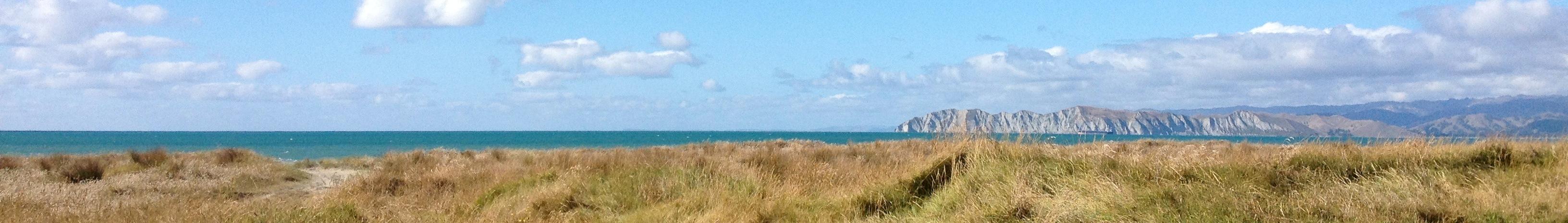 Banner image for Gisborne on GigsGuide