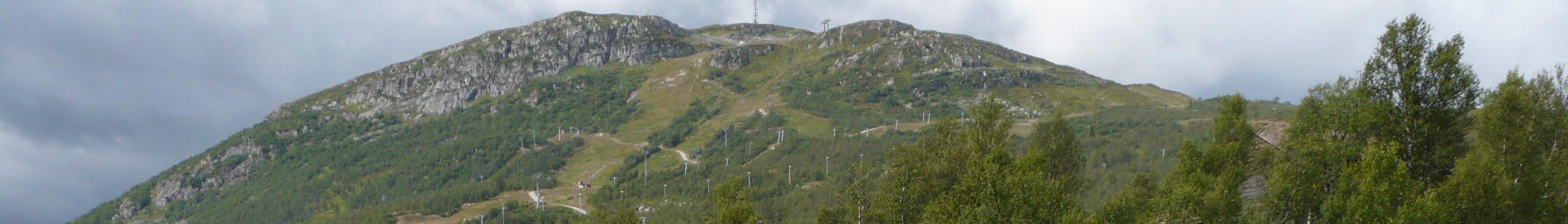 Banner image for Hovden on GigsGuide